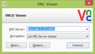 start vnc server